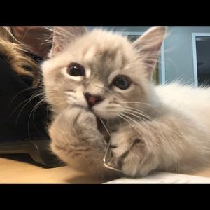 Meet your Posher, Lori